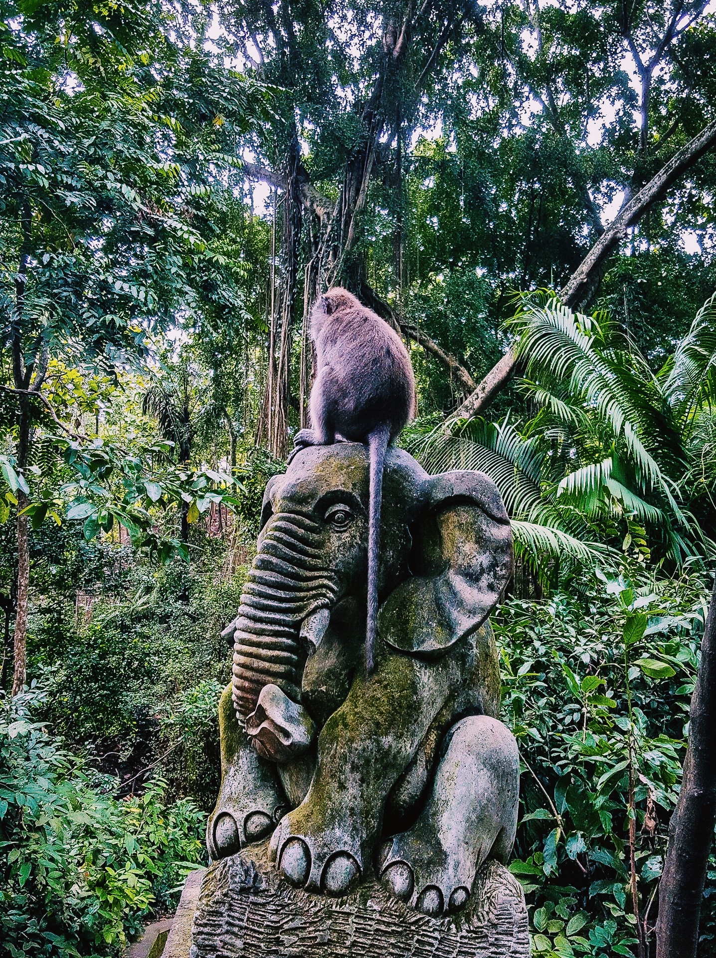 The Jungle Book – Bali Edition